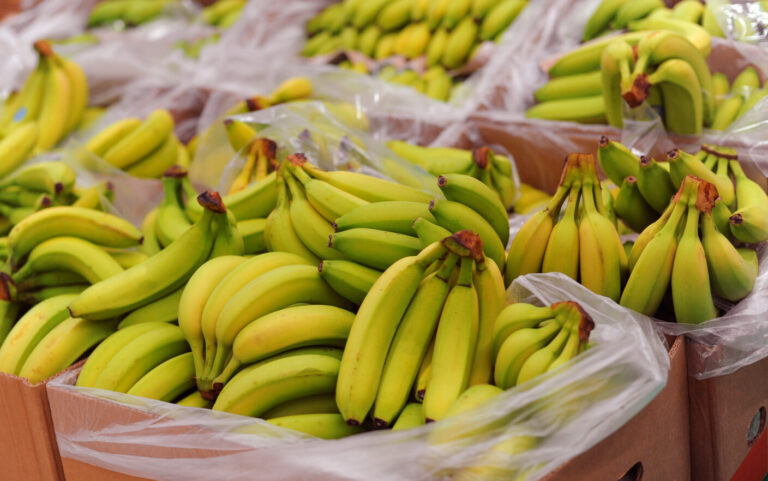 Republica Bananelor și a Nucii de Cocos
